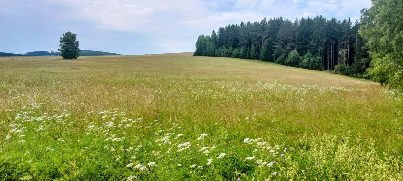 fotografie z akce Týden okolím Lipna s Přemkem
