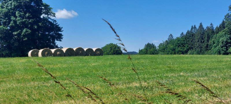 fotografie z akce Týden okolím Lipna s Přemkem
