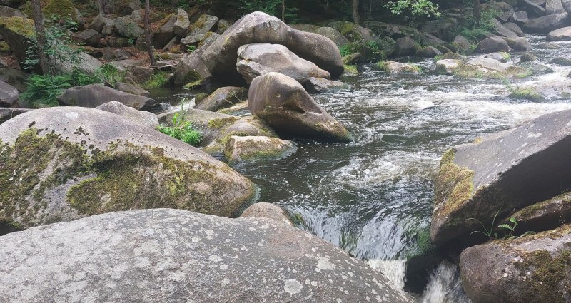 fotografie z akce Týden okolím Lipna s Přemkem