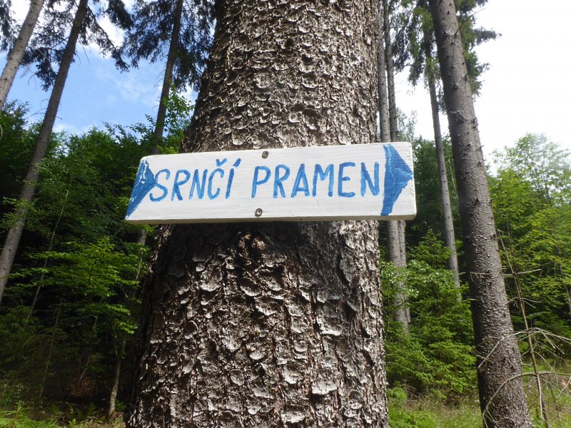 fotografie z akce Týden v Kynžvartu - I.