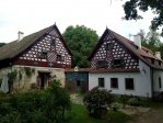 Týden v Kynžvartu - II.