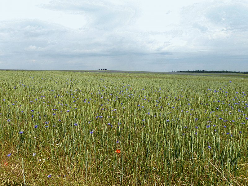 fotografie z akce Týden v Kynžvartu - II.