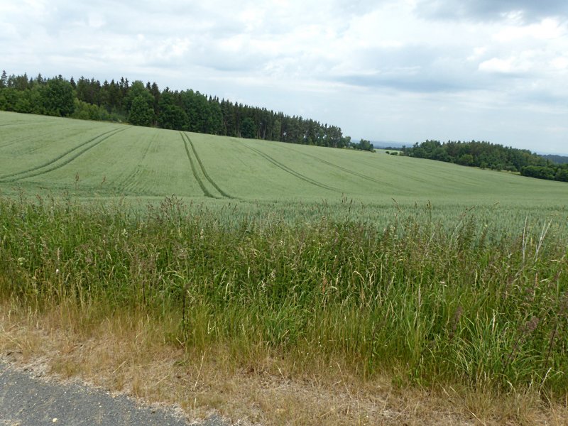 fotografie z akce Týden v Kynžvartu - II.