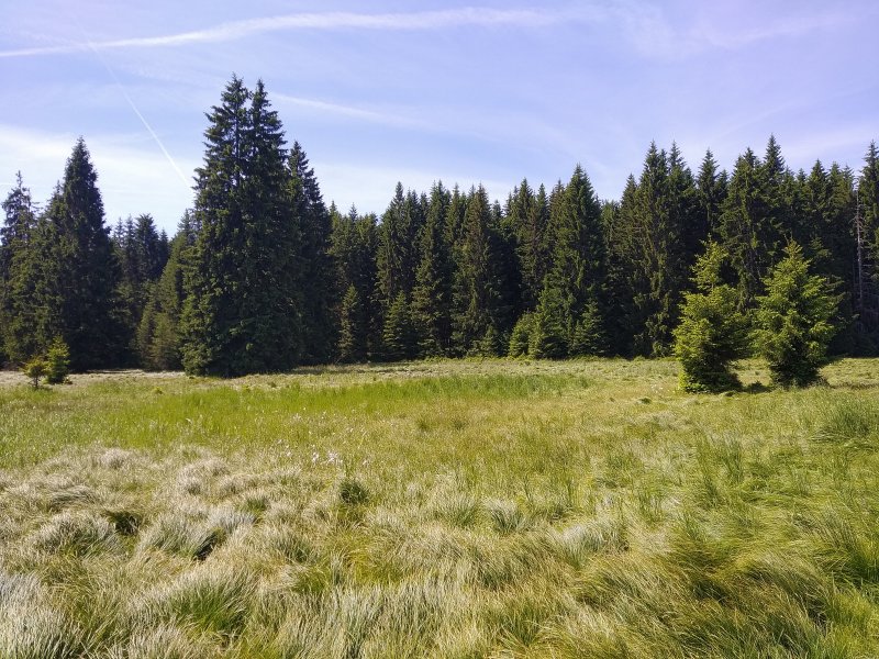 fotografie z akce Týden v Kynžvartu - II.