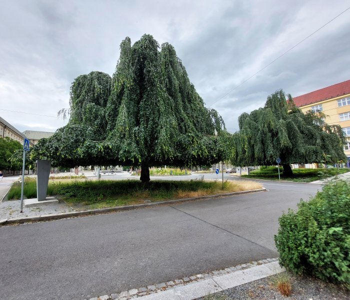 fotografie z akce Týden v okolí Jablunkova/2