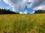 Týden v okolí Jablunkova/3