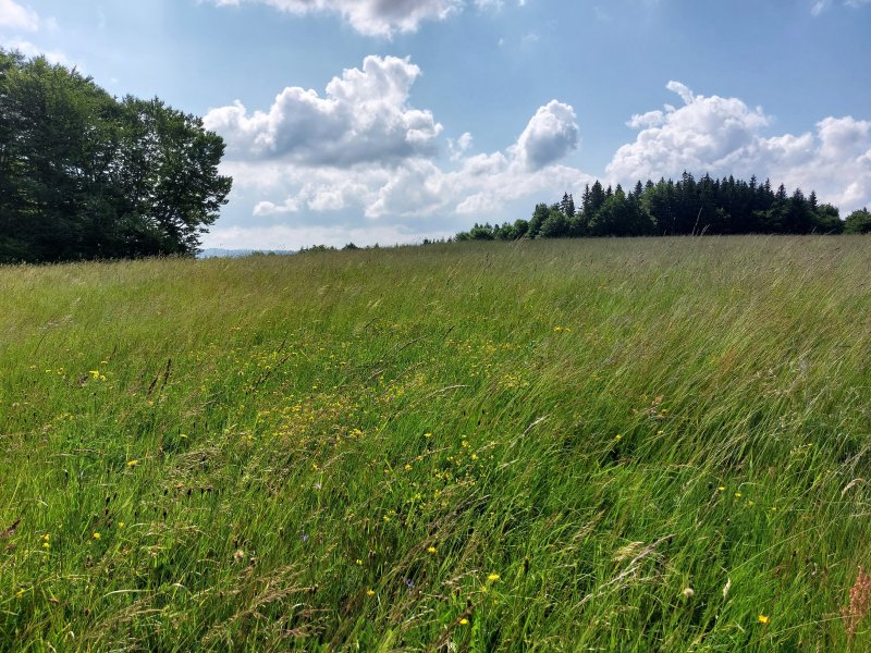 fotografie z akce Týden v okolí Jablunkova/1