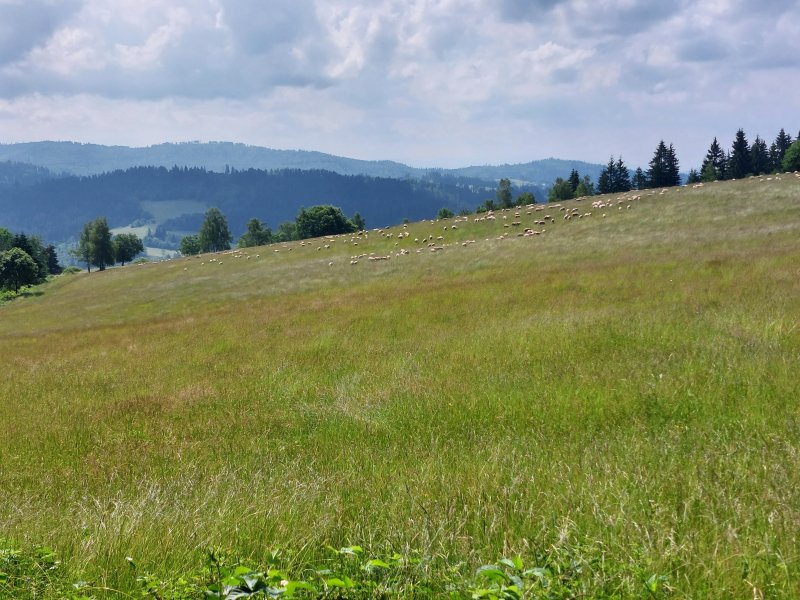 fotografie z akce Týden v okolí Jablunkova/1