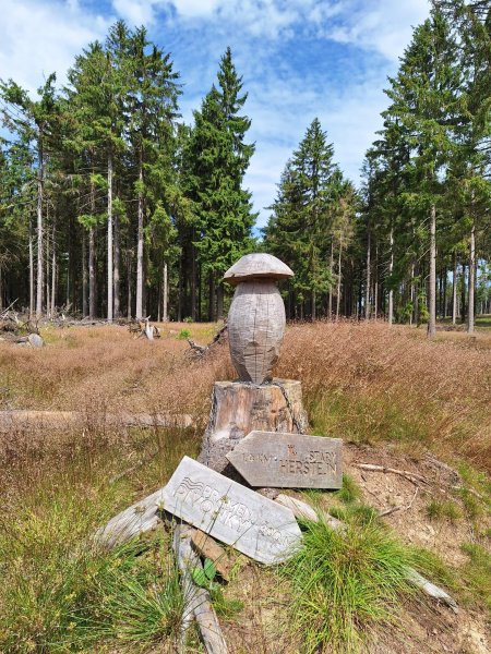 fotografie z akce Vzpomínka na Český les/Ivča Š.