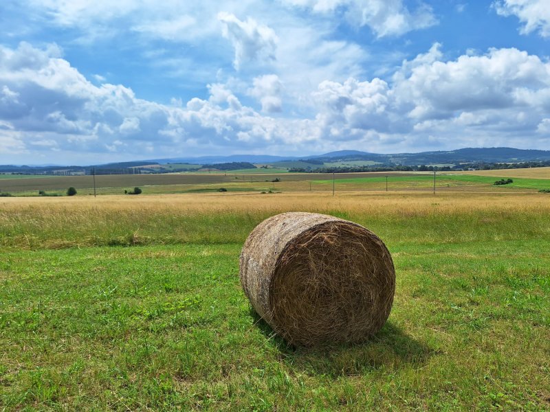 fotografie z akce Vzpomínka na Český les/Ivča Š.