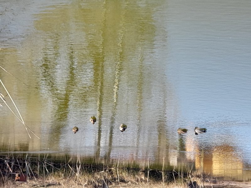 fotografie z akce Z Brandejsa do Neratovic 