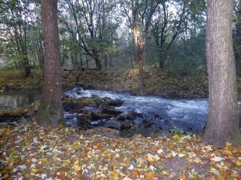 fotografie z akce Z Vrbčan do Sadské - 15,5 km