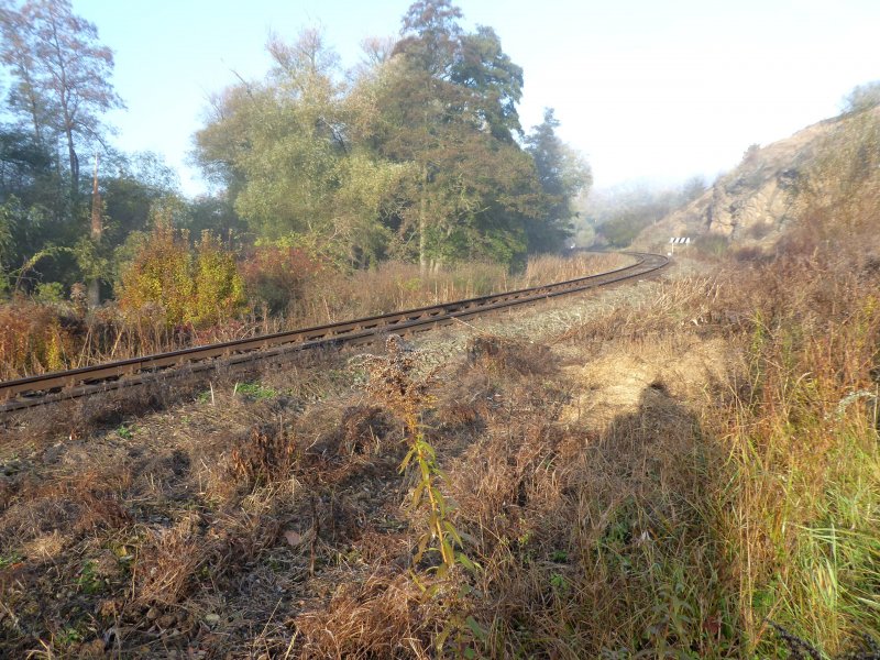 fotografie z akce Z Vrbčan do Sadské - 15,5 km