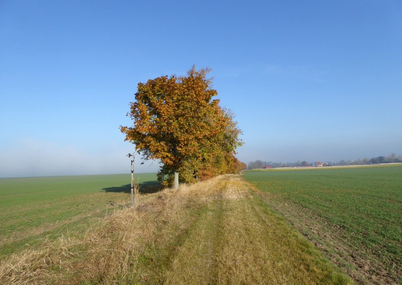 fotografie z akce Z Vrbčan do Sadské - 15,5 km