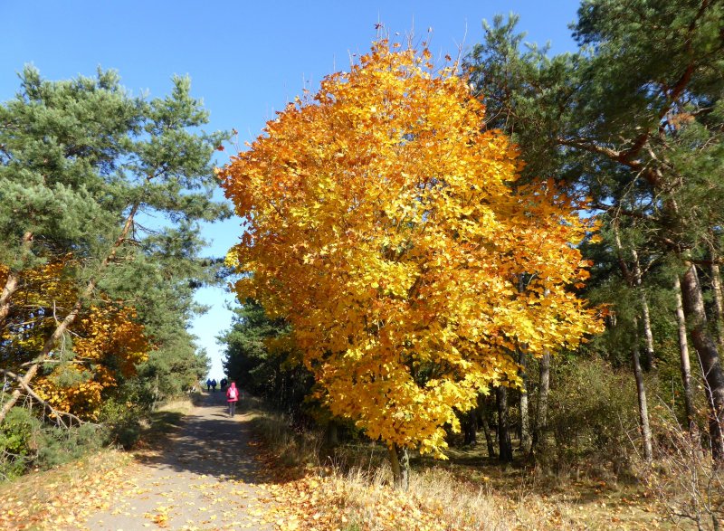 fotografie z akce Z Vrbčan do Sadské - 15,5 km