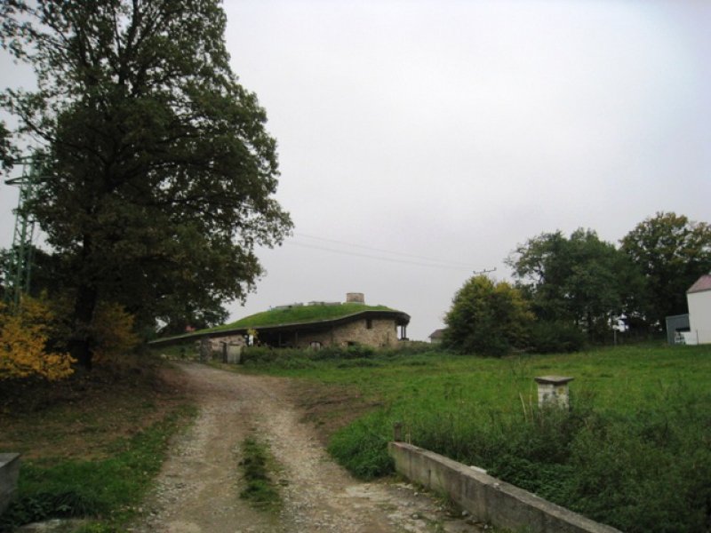 fotografie z akce Neděle s Líbou