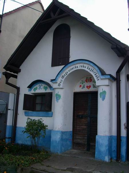 fotografie z akce Slováckými vinohrady