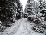 fotografie č. 24