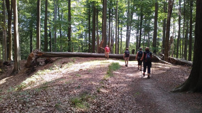fotografie z akce Máchovým krajem s Irenou-23 km