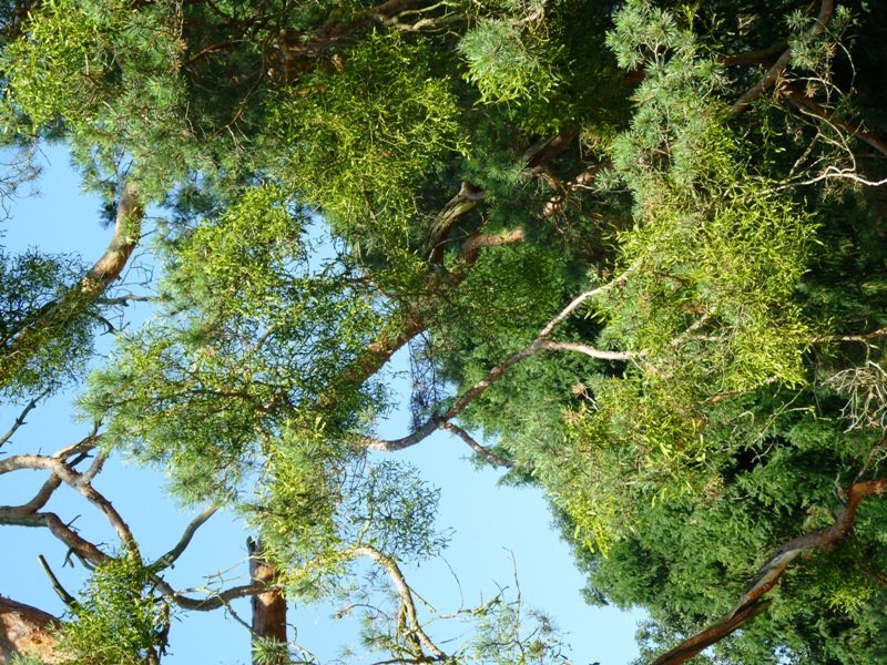 fotografie z akce Mikulov 2011