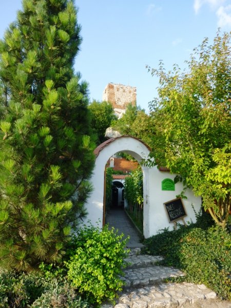 fotografie z akce Mikulov 2011