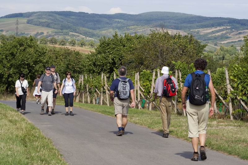 fotografie z akce Modré hory