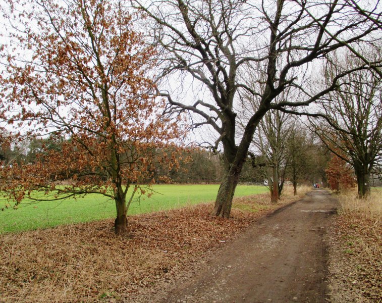 fotografie z akce Neděle s Líbou - Týnec n/S-Pyšely