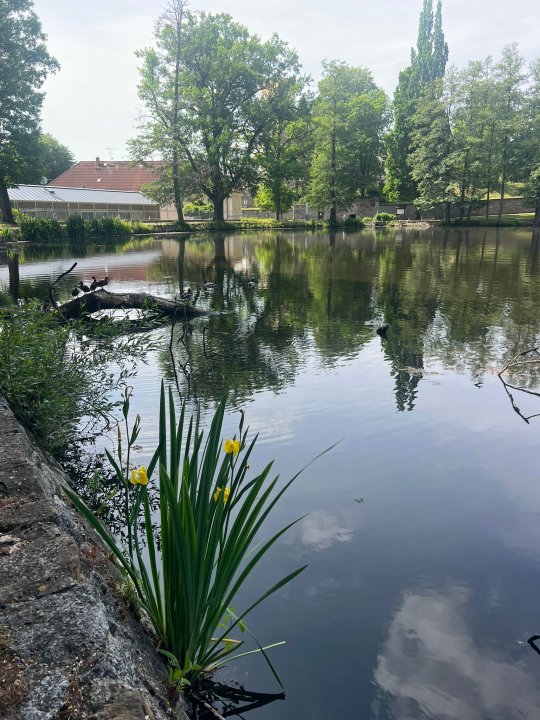 fotografie z akce NsHa-Krajem barona Ringhoffera