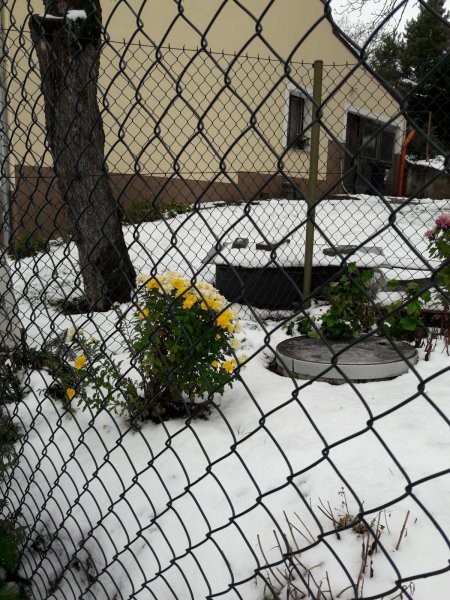 fotografie z akce NsHelčou - Chocerady-Senohraby