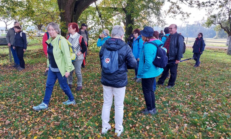 fotografie z akce NsI - Hřebčín Kladruby n/Labem