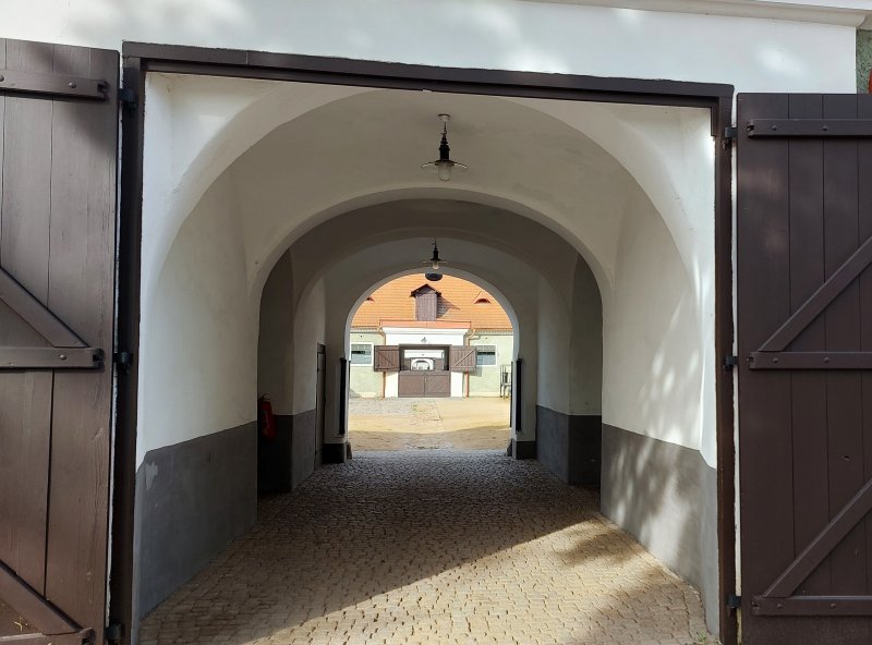 fotografie z akce NsI - Hřebčín Kladruby n/Labem