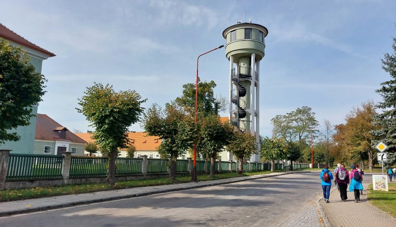fotografie z akce NsI - Hřebčín Kladruby n/Labem