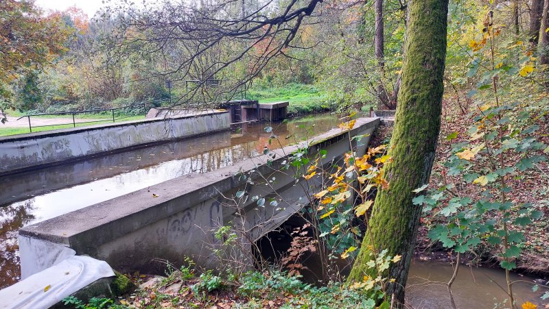 fotografie z akce NsI - Hřebčín Kladruby n/Labem