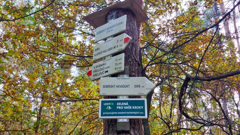 fotografie z akce NsI - Hřebčín Kladruby n/Labem