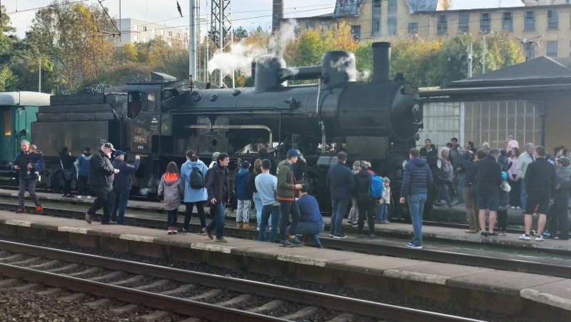 fotografie z akce NsI - Hřebčín Kladruby n/Labem