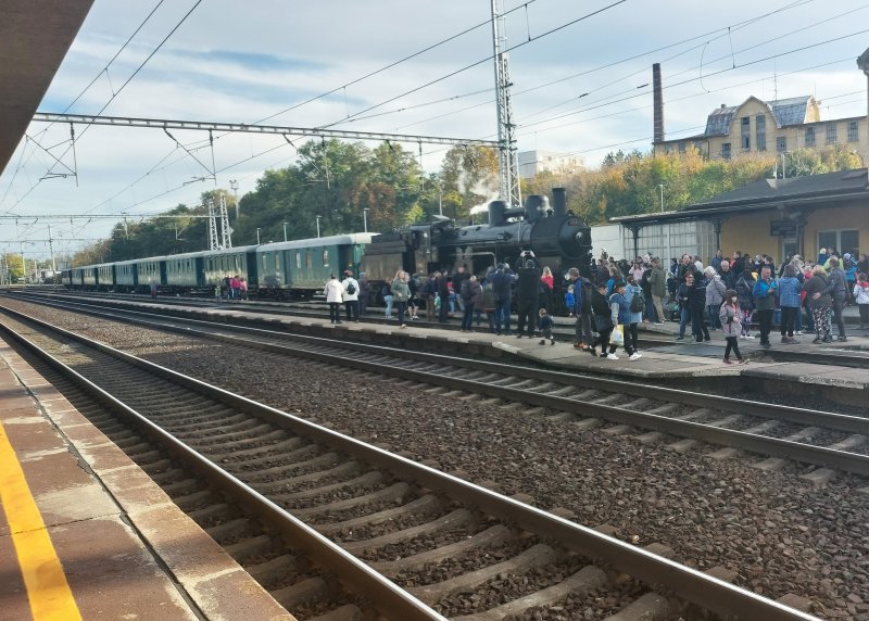 fotografie z akce NsI - Hřebčín Kladruby n/Labem