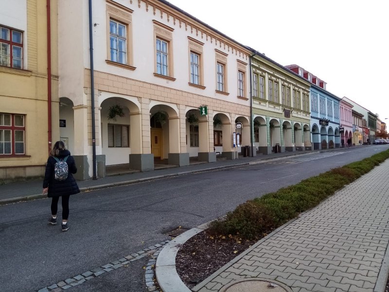 fotografie z akce NsI - Hřebčín Kladruby n/Labem