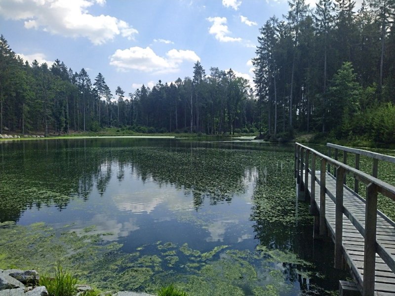 fotografie z akce NsI - Škvorec - Mukařov-10 km