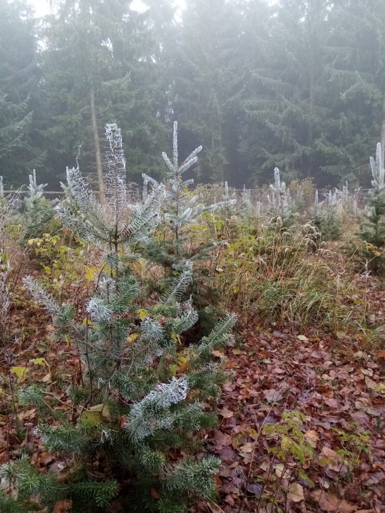 fotografie z akce NsI - Z Kamenice do Týnce n/S