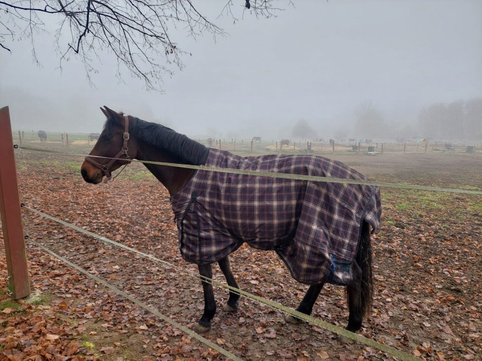 fotografie z akce NsI - Z Kamenice do Týnce n/S