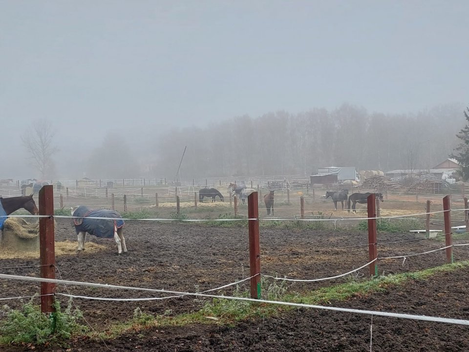 fotografie z akce NsI - Z Kamenice do Týnce n/S