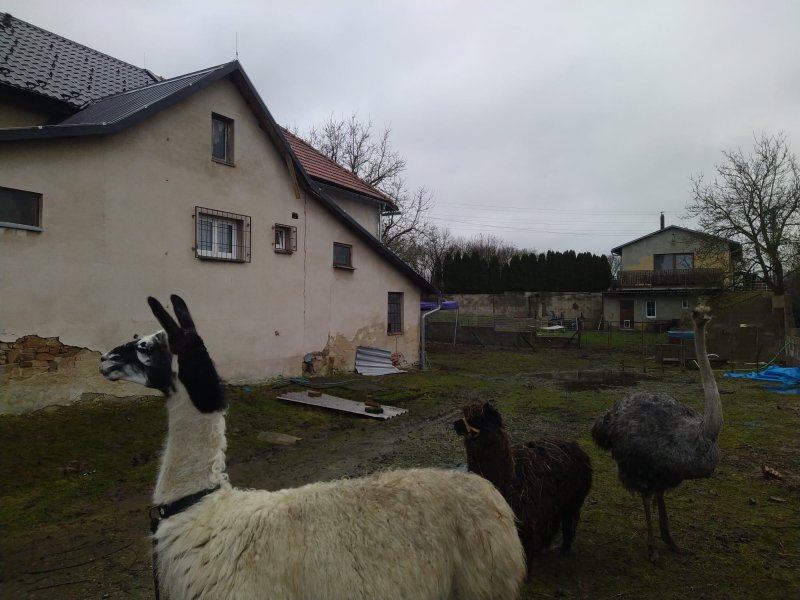 fotografie z akce NsI - Zvánovice - Stř. Skalice