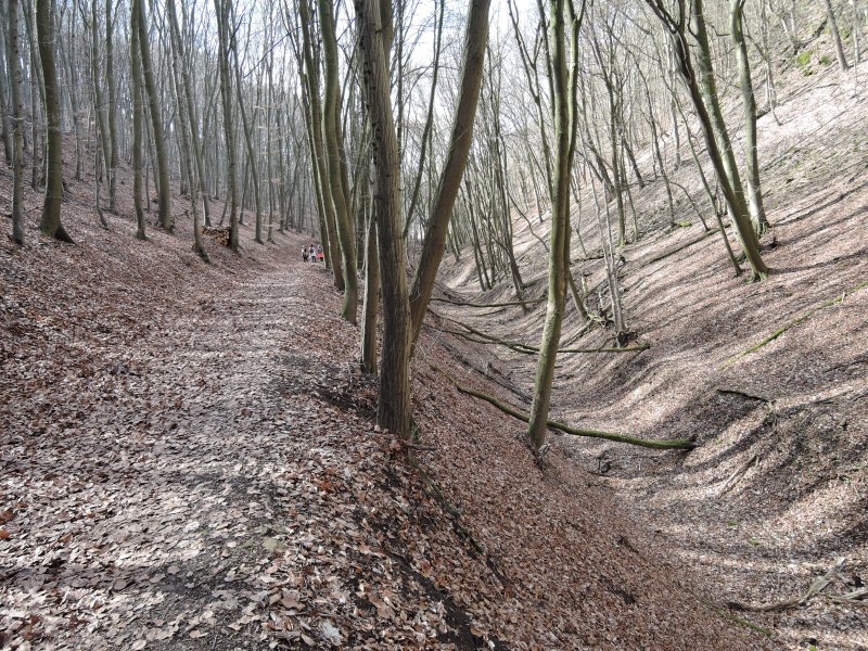 fotografie z akce NsL Černošice  Karlštejn