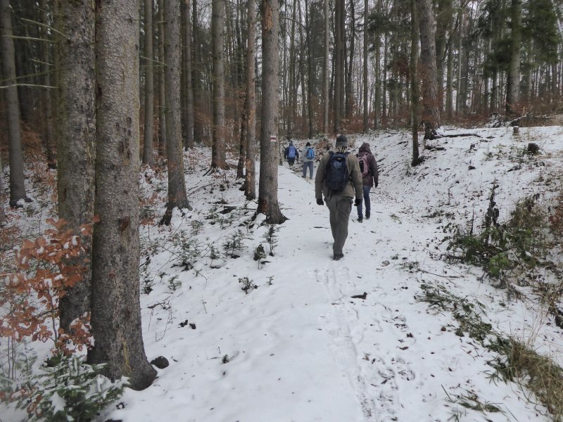 fotografie z akce NsL- Hvězdonice-Sázava 12,5km