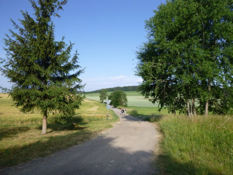 fotografie z akce NsL-Ješetice-Heřmaničky-13,5km