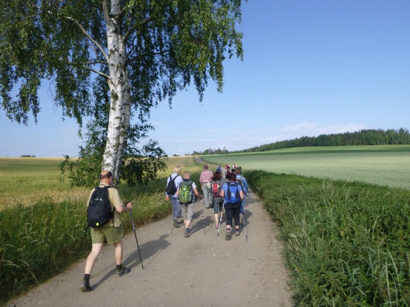 fotografie z akce NsL-Ješetice-Heřmaničky-13,5km