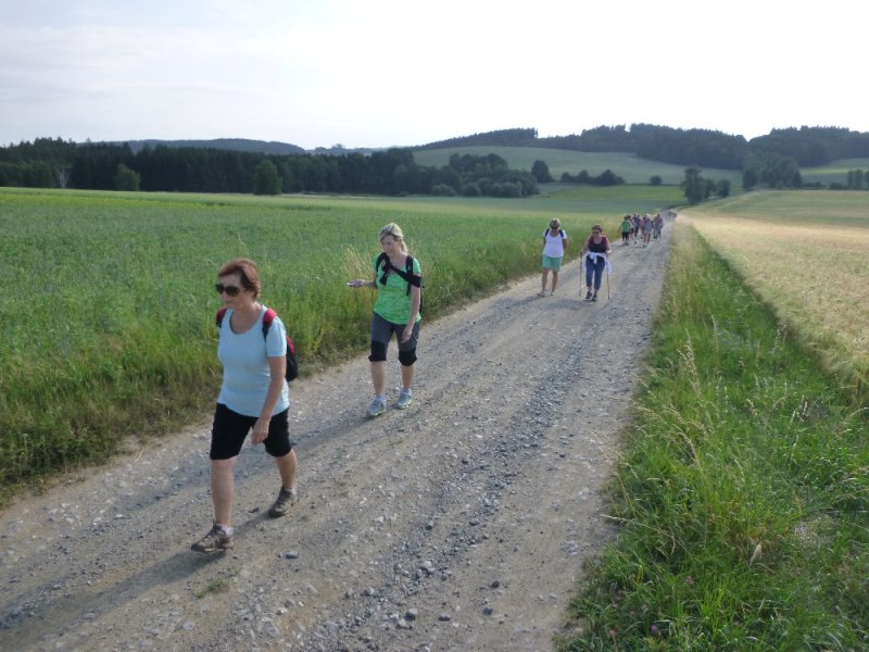 fotografie z akce NsL-Ješetice-Heřmaničky-13,5km