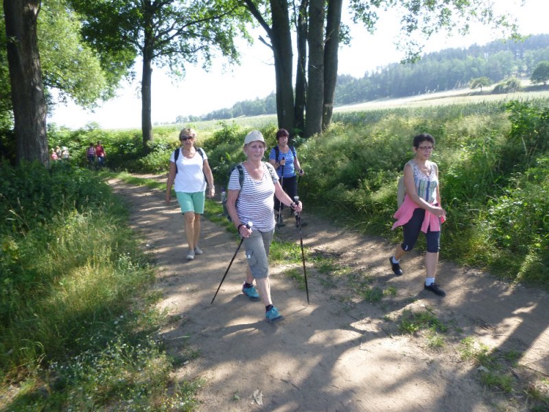 fotografie z akce NsL-Ješetice-Heřmaničky-13,5km