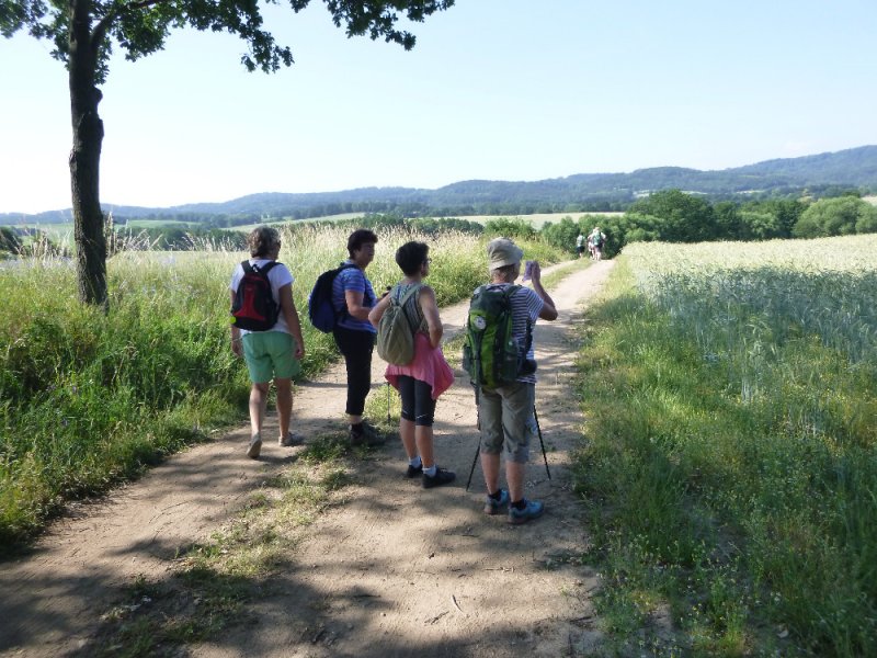 fotografie z akce NsL-Ješetice-Heřmaničky-13,5km