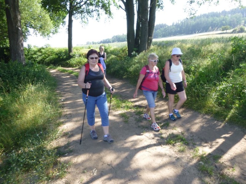fotografie z akce NsL-Ješetice-Heřmaničky-13,5km